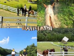 -老李家土菜馆·安吉地标美食