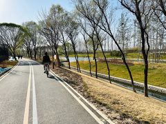-坝河休闲公园