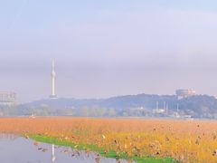 -月湖风景区