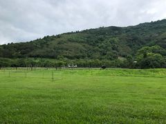 -瑞穗牧场