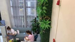 -苗医生草本科技祛痘