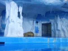 -多彩贵州城极地海洋世界