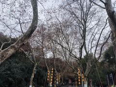 -杭州黄龙洞