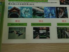 -西双版纳原始森林公园