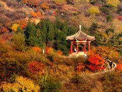 -香山公园