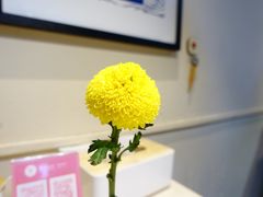 -友达面馆(二七南路店)