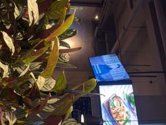 -West10 西拾·西餐厅·创意菜(未来科技城店)