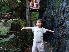 -龙湾潭国家森林公园