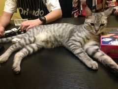 -辛巴桌游剧本娱乐休闲馆(光谷店)