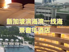 -新加坡文华东方酒店