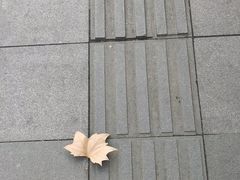 -巴金故居