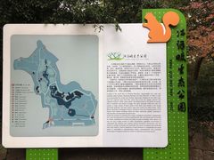 -西湖风景区-江洋畈生态公园
