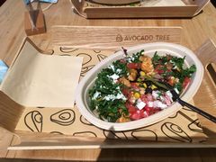 -油梨树AVOCADO TREE(嘉里中心店)