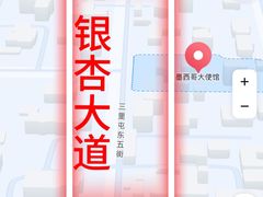-三里屯东五街银杏大道
