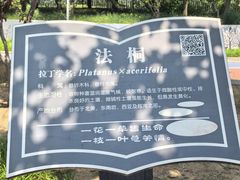 -滨河世纪广场公园