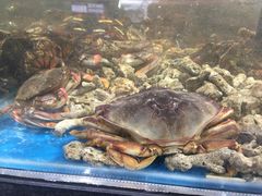 -盒马鲜生(曜一城店)