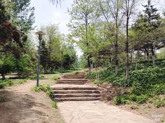 -莫子山公园