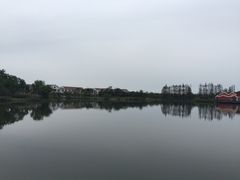 -上海长兴岛郊野公园