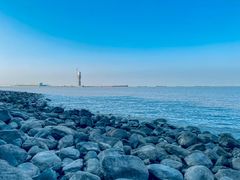 -上海吴淞炮台湾国家湿地公园