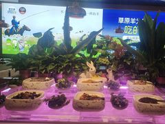 -额尔敦·品质自助(摩尔城店)