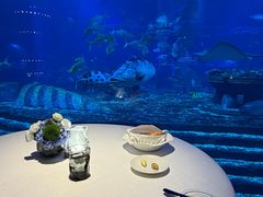 -亚特兰蒂斯•OSSIANO奥西亚诺海底餐厅