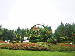 -东平国家森林公园