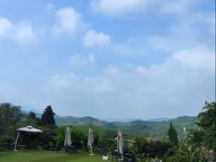 -桃源山庄·水蜜桃采摘·柴火鸡·烧烤团建(龙泉山店)