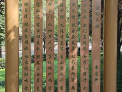 -唐城墙遗址公园