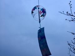 -天王浮山樱花园