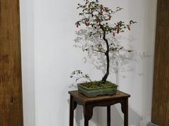 -国家会展中心