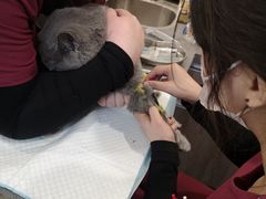 -宠颐生斯嘉宠物医院·急重症·心内科(谷阳北路分院)