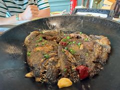 -开海·红岛海鲜虾水饺(石老人店)