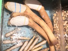 -国惠大酒楼(爱琴海购物公园店)
