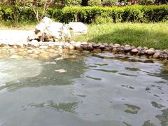-山湖温泉