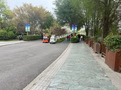 -三垟湿地