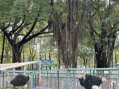 -广东花都香草世界旅游度假区