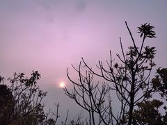 -梧桐山风景名胜区