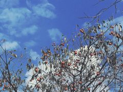 -丹山赤水风景名胜区