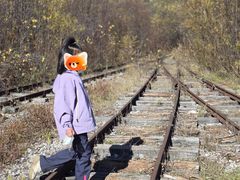 -五营红松林海景区