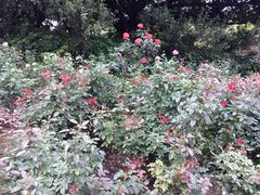 -人民公园(罗湖区)