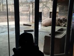 -鄂尔多斯野生动物园