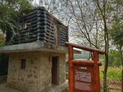 -华侨城湿地公园