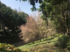 -重庆医科大学附属口腔医院(冉家坝院区)