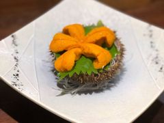 大马粪海胆刺身-加奈日本料理
