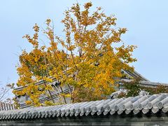 -南锣鼓巷