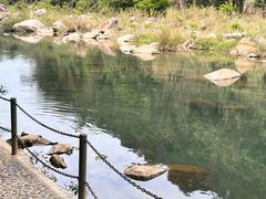 -四会奇石河风景区