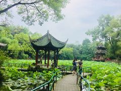 -房湖公园