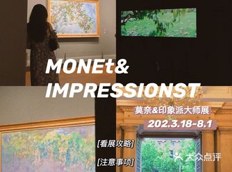 上海看展绝美睡莲｜感受莫奈的浪漫