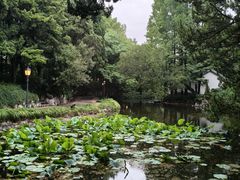 -叶家花园