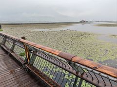 -腾冲北海湿地
